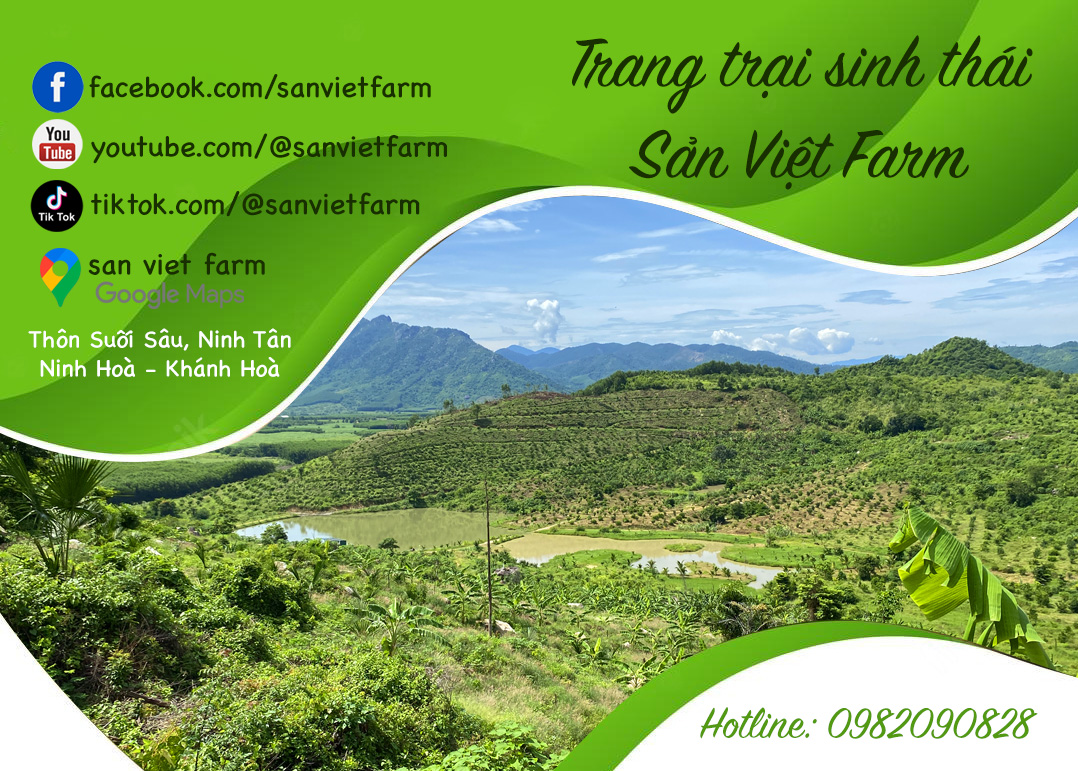 San Viet Farm